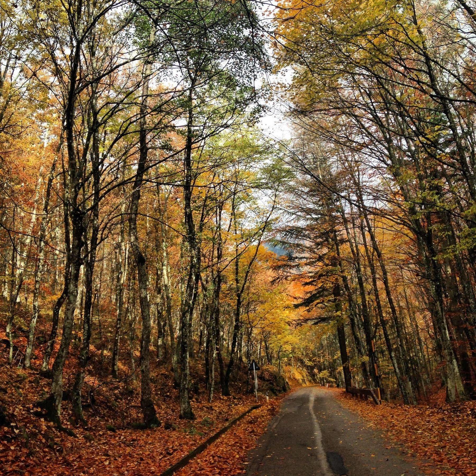 Locanda Dei Baroni - Antica Dimora Camaldoli Esterno foto
