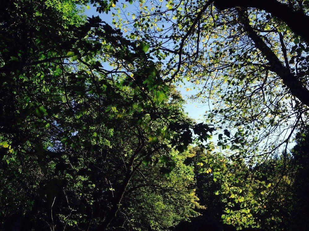 Locanda Dei Baroni - Antica Dimora Camaldoli Esterno foto